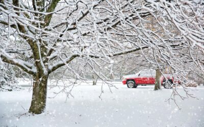A Diesel Truck Seasonal Guide in Colorado Springs